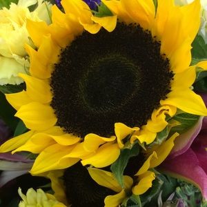 Meet your Posher, Valery